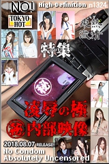 n1324